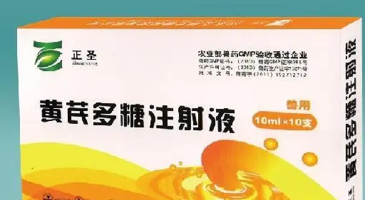 兽用黄芪多糖的功效