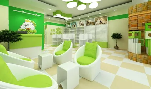 宠物店的加盟费用 宠物店的加盟费用