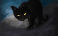 养猫防鬼是真的吗