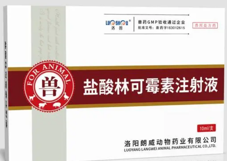 盐酸林可霉素注射兽用治疗什么