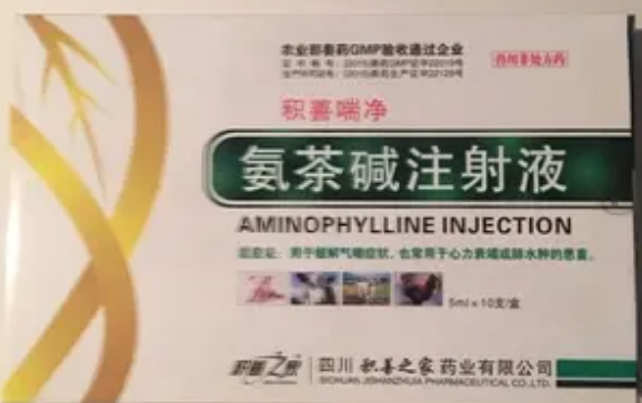 氨茶碱的禁忌