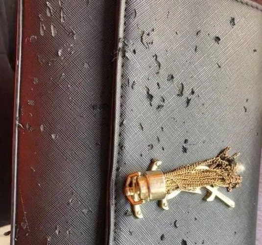 猫咪跳海草舞翻车!主人怒摔手机,笑翻~ 猫咪跳海草舞翻车!主人怒摔手机,笑翻~