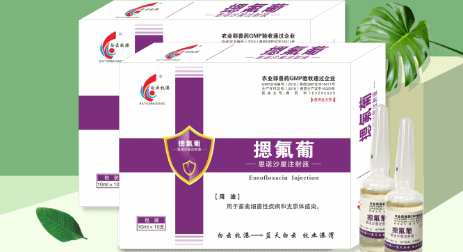 兽用恩诺沙星多少钱