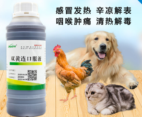 双黄连口服液药效 双黄连口服液药效