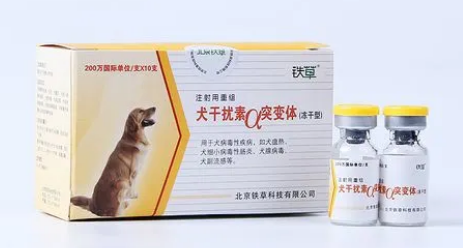 宠物干扰素的用法用量 宠物干扰素的用法用量