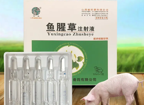 鱼腥草注射注液的配伍
