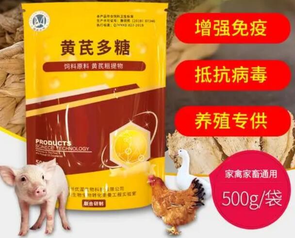 黄芪多糖的功效与作用兽用黄