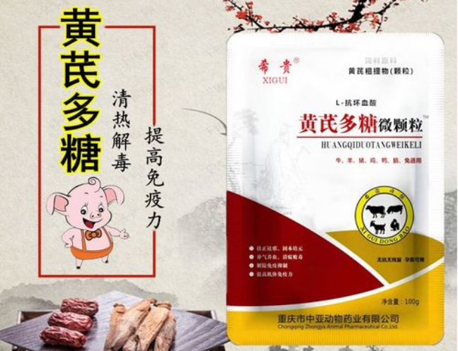 禽用黄芪多糖最佳配伍药 禽用黄芪多糖最佳配伍药