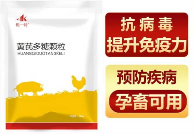 兽用黄芪多糖是否会激发蓝耳