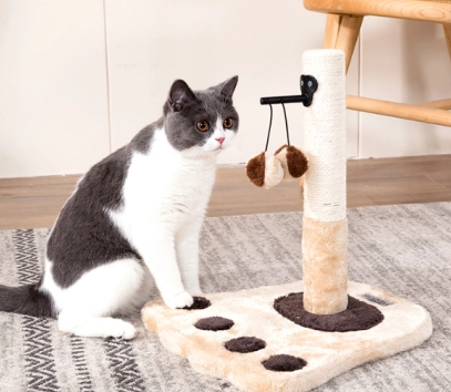 猫生活用品必备 猫生活用品必备