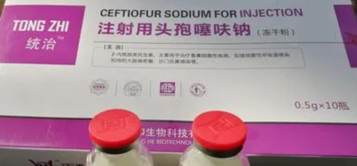 兽用头孢噻呋钠兑盐酸林可霉素治疗什么?
