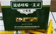 一支灵是治什么病的