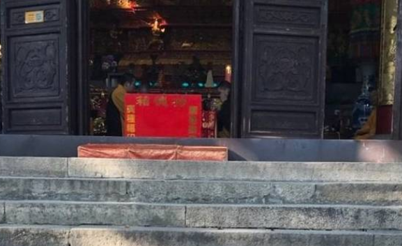 寺院的猫被偷走后，网友炸锅了