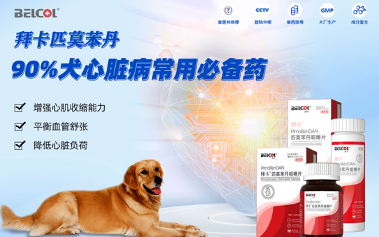 拜卡品牌简介来咯~ 拜卡品牌简介来咯~