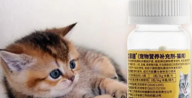 猫吃利尿通还用吃消炎药吗