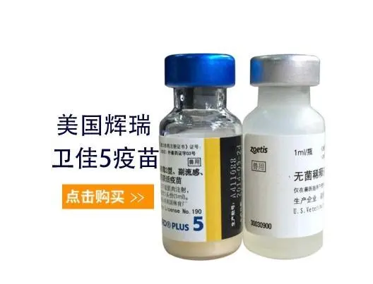 狗狗卫佳五联疫苗多少钱 狗狗卫佳五联疫苗多少钱