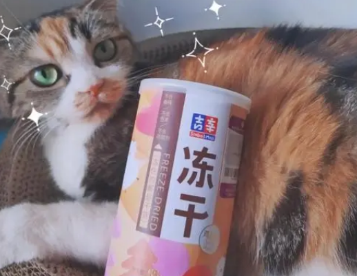 吉辛冻干如何 吉辛冻干如何