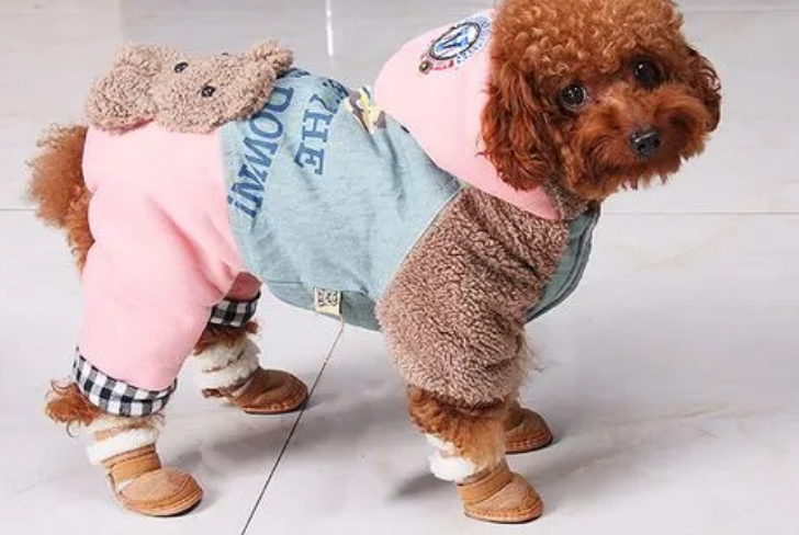宠物狗狗鞋子推荐