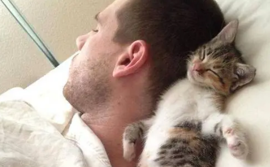 猫为什么喜欢睡人的头旁边 猫为什么喜欢睡人的头旁边