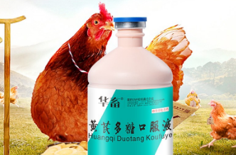 兽用黄芪多糖功能