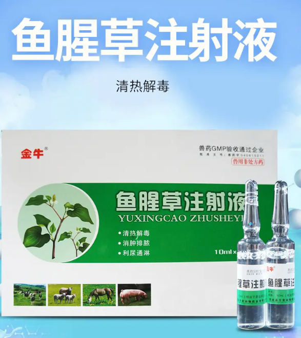 兽药鱼腥草注射注液的功效