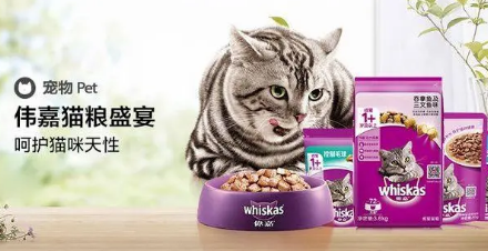 伟嘉猫粮有卖吗 伟嘉猫粮有卖吗