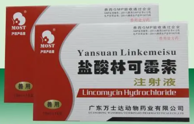 盐酸林可霉素可以治疗细小吗