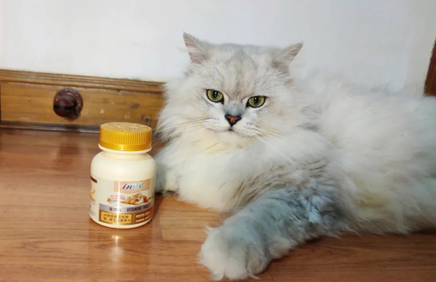 猫吃叶酸片有什么作用 猫吃叶酸片有什么作用