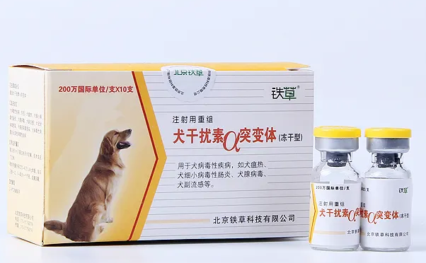 狗的干扰素多少钱