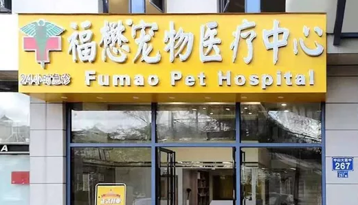福懋动物医院收费