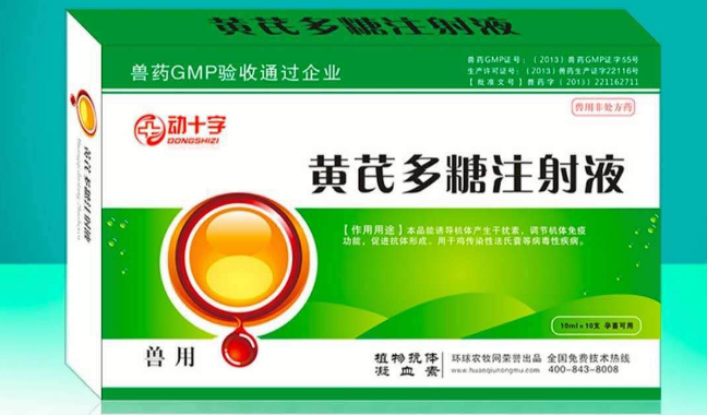 黄芪多糖对鸡的功效与作用