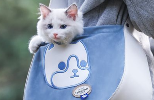 猫包是干嘛的