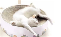 养猫的工具有哪些