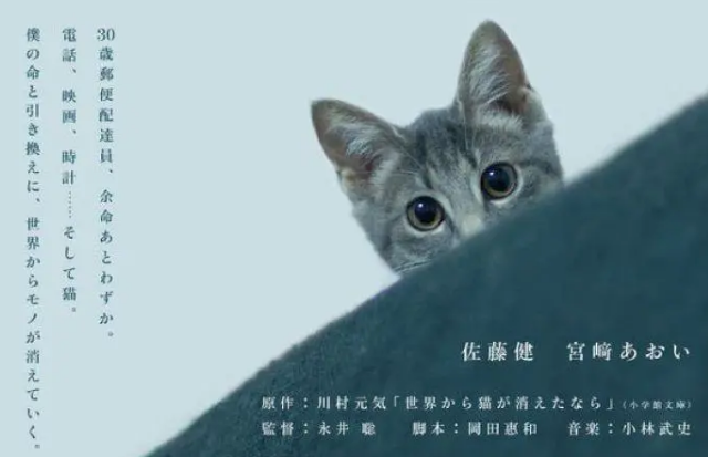 如果世界上不再有猫电影 如果世界上不再有猫电影
