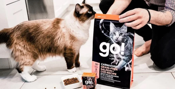 科学养宠重在猫粮选择,百加世go猫粮让你做一位合格铲屎官! 科学养宠重在猫粮选择,百加世go猫粮让你做一位合格铲屎官!