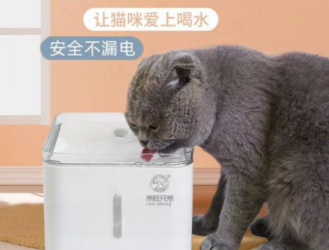 来旺兄弟宠物饮水机 来旺兄弟宠物饮水机