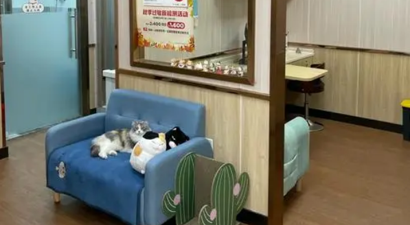 宠物医院一般收费