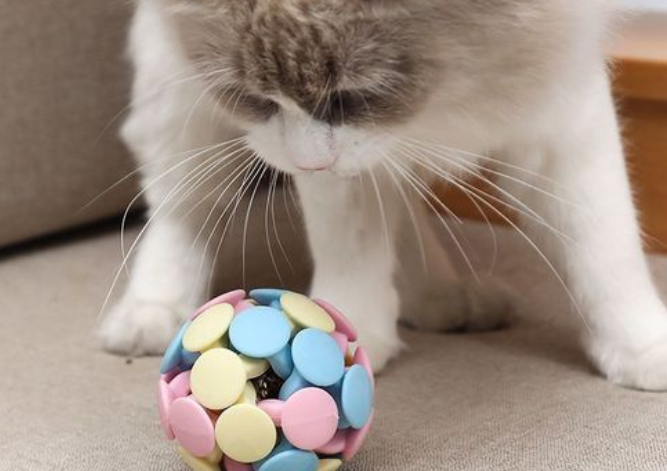 猫咪为什么喜欢抓球球
