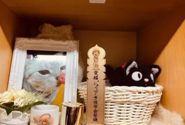 上海宠物殡葬服务价格