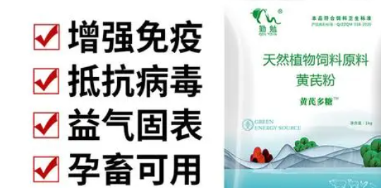 兽用黄芪多糖的功效与作用