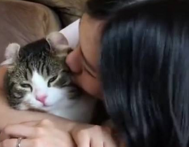 女主人不停强吻猫咪，猫咪一脸嫌弃