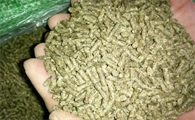 自制兔饲料的最佳配方