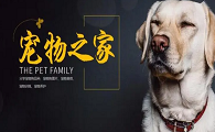 宠物网站哪个最好