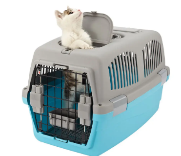 猫咪托运怎么办理流程 猫咪托运怎么办理流程