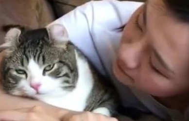 女主人不停强吻猫咪，猫咪一脸嫌弃