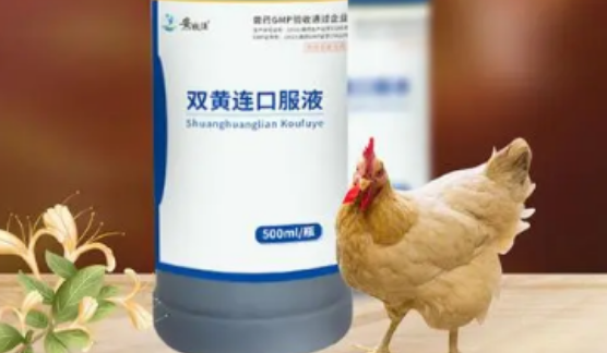 双黄连口服液是中药还是西药 双黄连口服液是中药还是西药