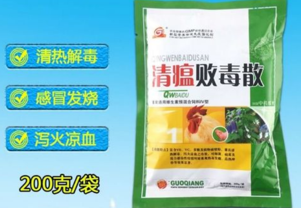 清瘟败毒散治疗猫传腹