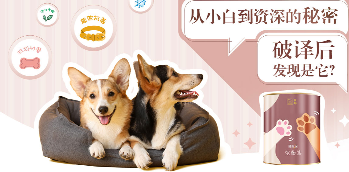 立邦宠物漆 | 从小白到资深的秘密