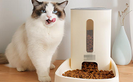 养猫必买用品