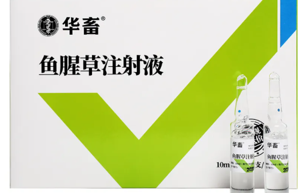 鱼腥草注射注液兽用作用 鱼腥草注射注液兽用作用